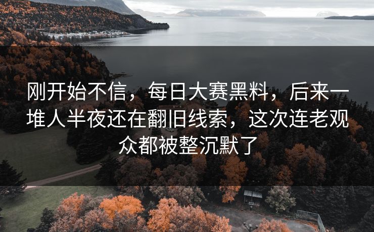 刚开始不信，每日大赛黑料，后来一堆人半夜还在翻旧线索，这次连老观众都被整沉默了