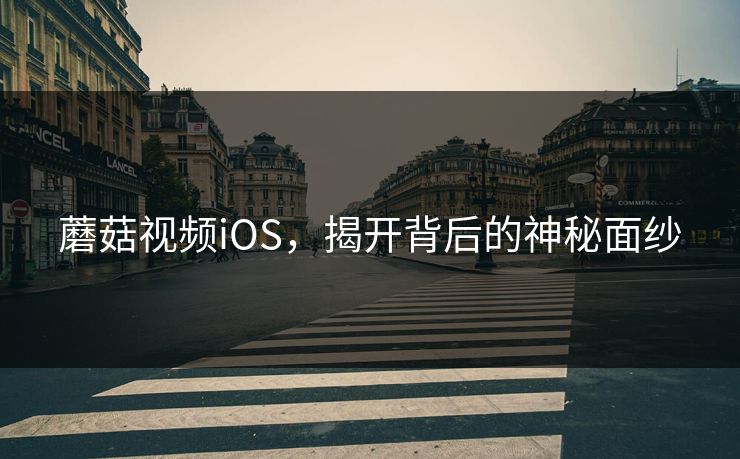 蘑菇视频iOS，揭开背后的神秘面纱
